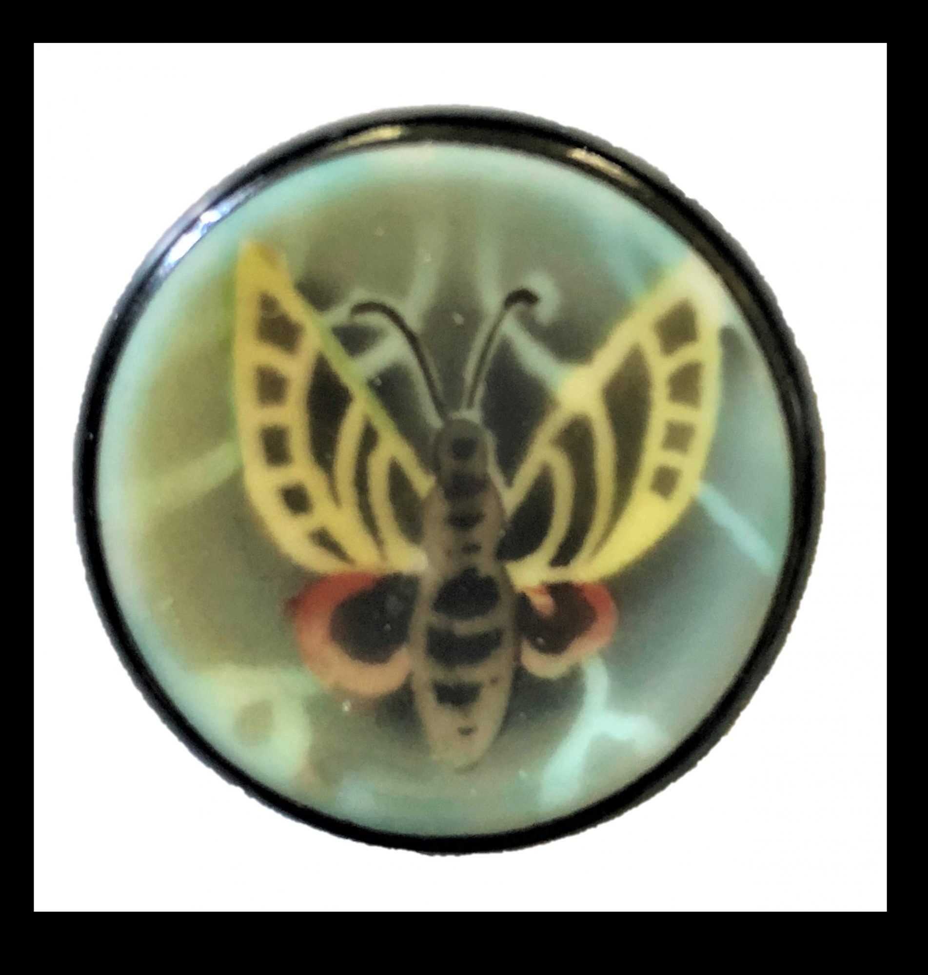 Wonderful black glass butterfly button