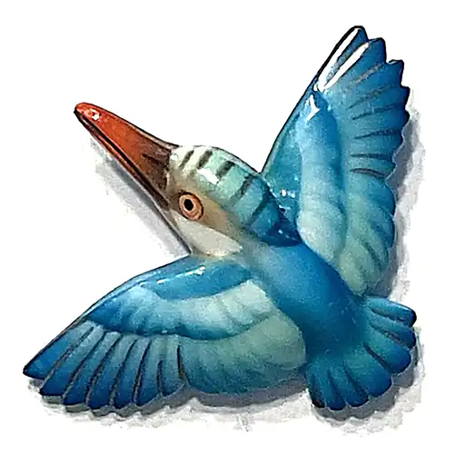 A Large Arita Bird In Flight
